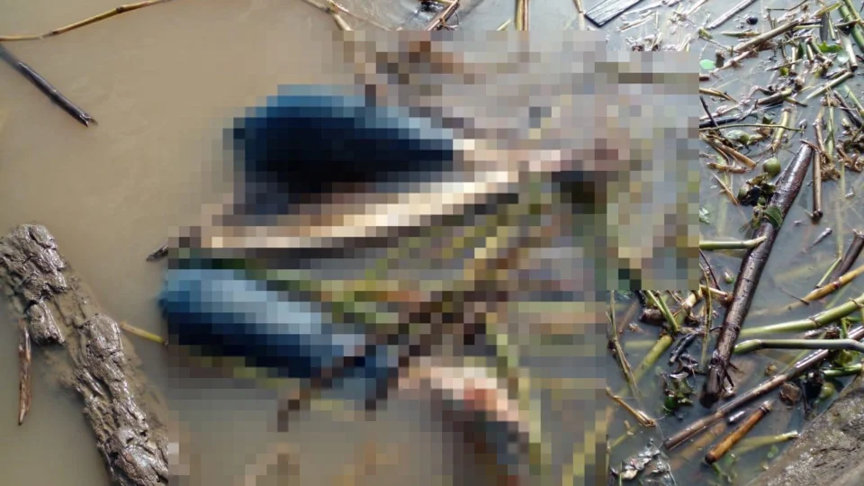 Corpo de jovem é encontrado devorado por animais no Rio Solimões