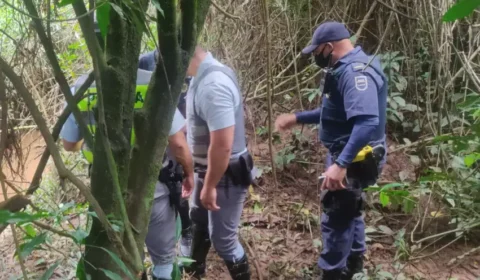 Corpo em estado de decomposição é encontrado na Estrada