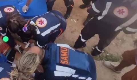 VÍDEO: surfista atacado por tubarão em Olinda está em estado grave