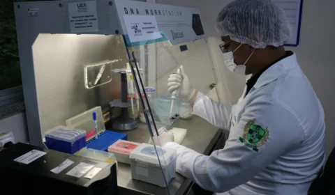 Fundação Hemoam abre inscrições para Iniciação Científica