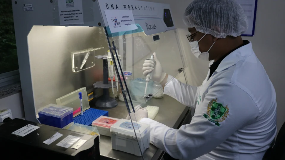 Fundação Hemoam abre inscrições para Iniciação Científica