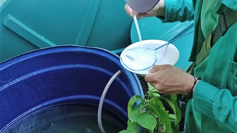 Saúde intensifica monitoramento da dengue em municípios do Amazonas