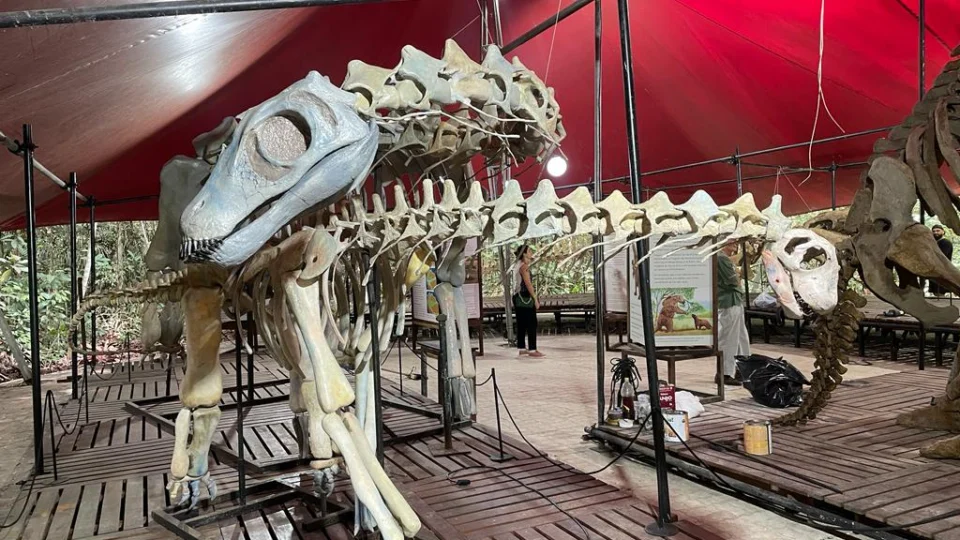 Musa: museu da Amazônia reabre exposição sobre dinossauros em Manaus