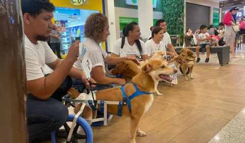“Cãoderantes” desfilam em Shopping Center  de Manaus