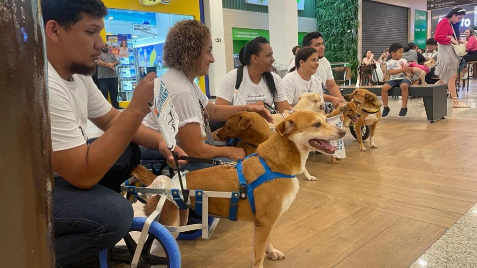 “Cãoderantes” desfilam em Shopping Center  de Manaus
