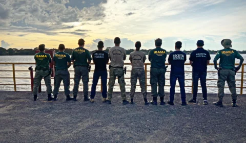 31 TONELADAS DE PEIXES DE PROCEDÊNCIA ILEGAL SÃO APREENDIDOS NO AMAZONAS