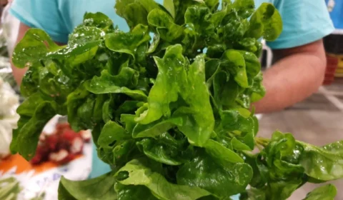 Produtos ofertados nas feiras da ADS contribuem para bem-estar físico e mental