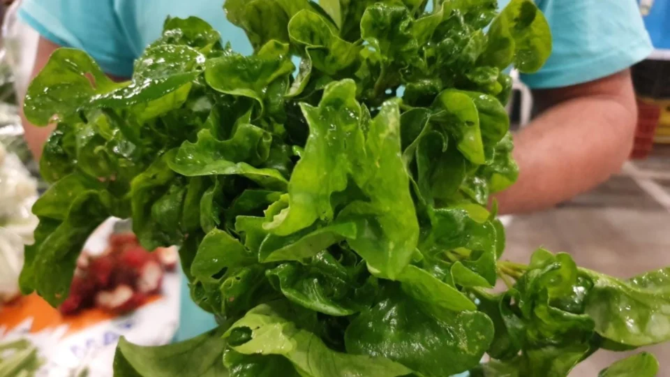 Produtos ofertados nas feiras da ADS contribuem para bem-estar físico e mental