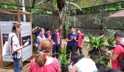 Escolas estaduais tem mais de 1,1 mil projetos encaminhados para segunda etapa do Programa Ciência na Escola