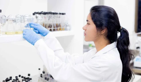 Editais da Fapeam para apoiar pesquisas desenvolvidas por cientistas mulheres recebem inscrições até 20 de abril