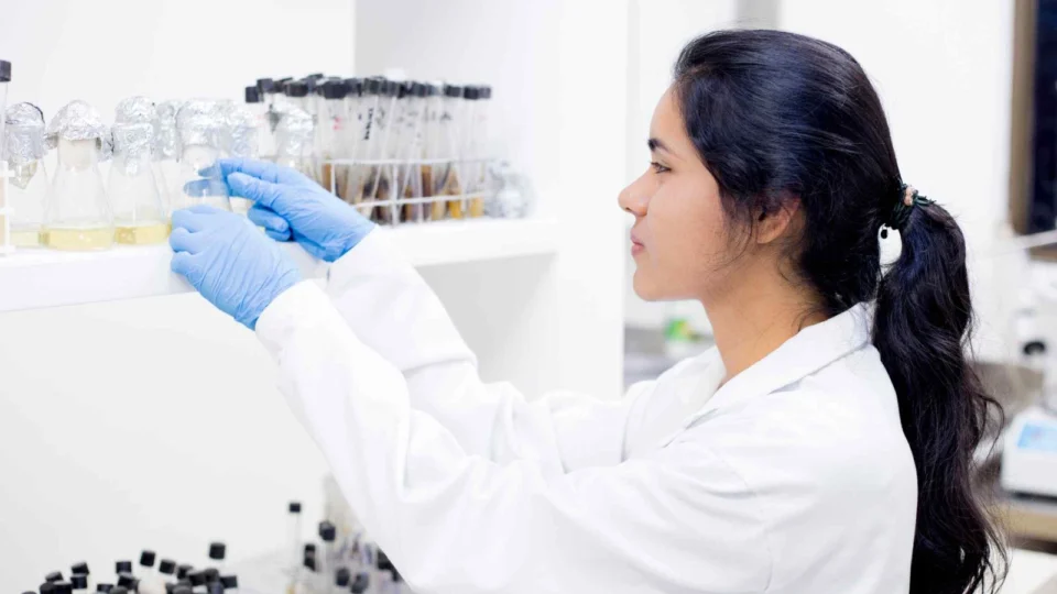 Editais da Fapeam para apoiar pesquisas desenvolvidas por cientistas mulheres recebem inscrições até 20 de abril