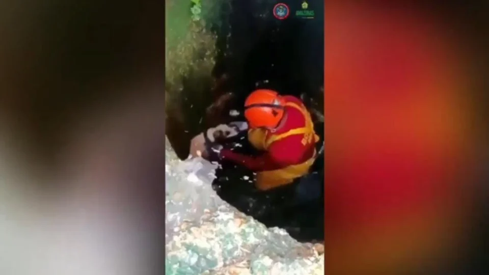 Vídeo: Bombeiros resgatam cachorro que caiu em bueiro no Nova Cidade