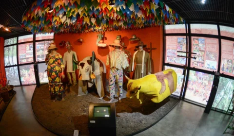 Espaços culturais divulgam cronograma de funcionamento para visitação pública