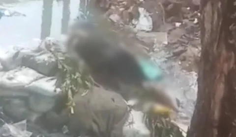 Corpo empacotado e em estágio de putrefação é encontrado em igarapé; vídeo