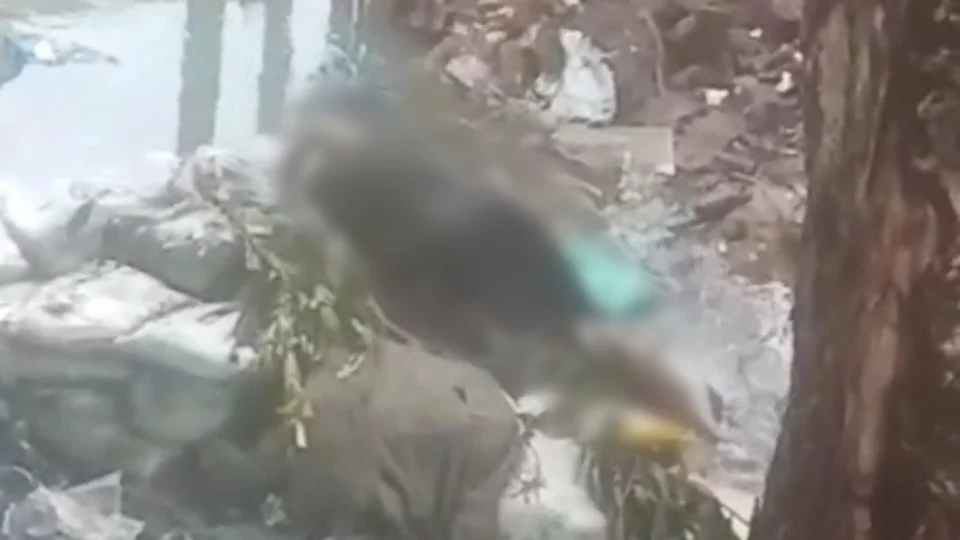 Corpo empacotado e em estágio de putrefação é encontrado em igarapé; vídeo