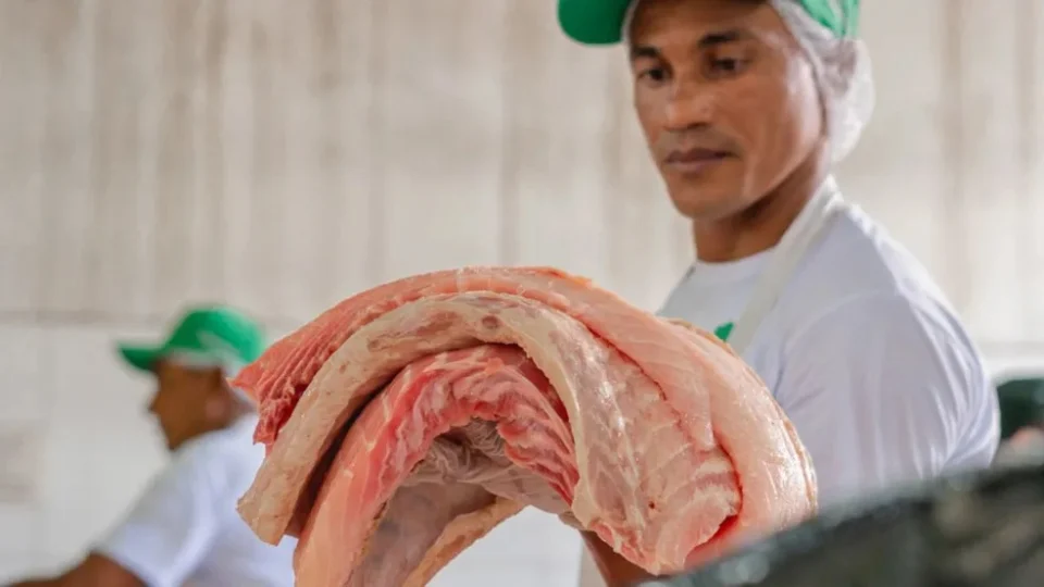 FAS promove feira de pirarucu e tambaqui na Semana Santa, em Manaus