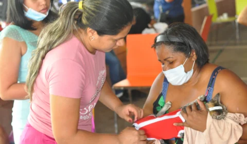 Castramóvel desembarca em Parintins no dia 7 de abril