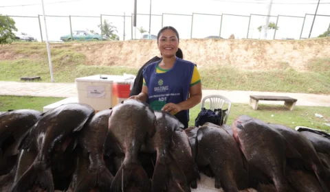 Feirão do Pescado é sucesso e encerra com resultados acima da expectativa