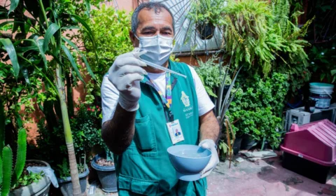 Manaus inicia levantamento do índice de infestação do Aedes aegypti