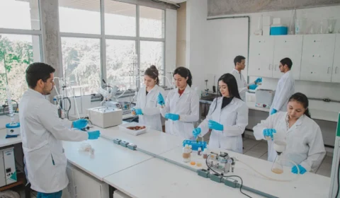 Edital Programa Universal-Fapeam 20 anos seleciona 235 propostas no Amazonas