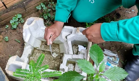 Mais de 6 mil casos de dengue são registrados no AM; 5 pessoas morreram