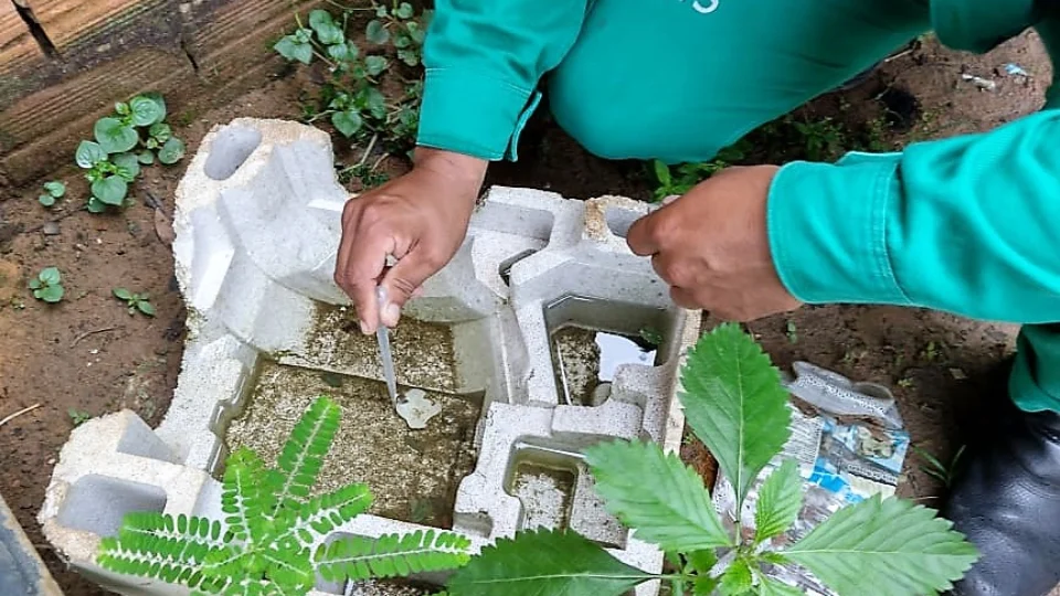 Mais de 6 mil casos de dengue são registrados no AM; 5 pessoas morreram