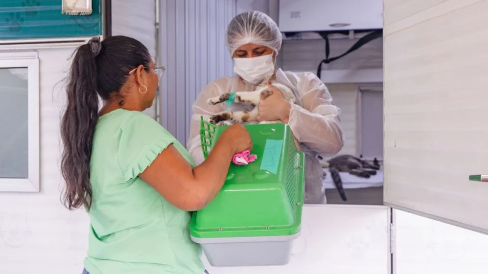 Confira o calendário para agendamento de castração de cães e gatos em Manaus