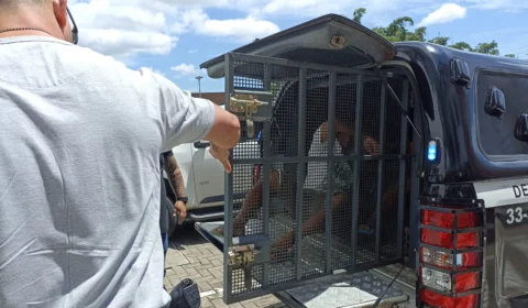 Dois homens são presos por descumprimento de medidas protetivas a vulneráveis