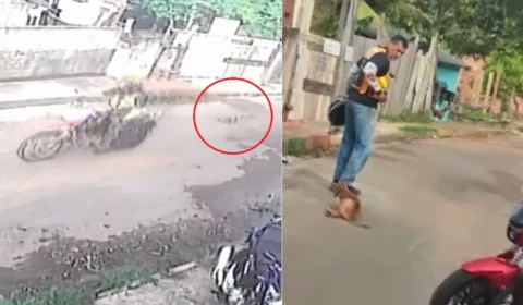 VÍDEOS: Cachorro é amarrado em moto e arrastado por ruas de Manacapuru