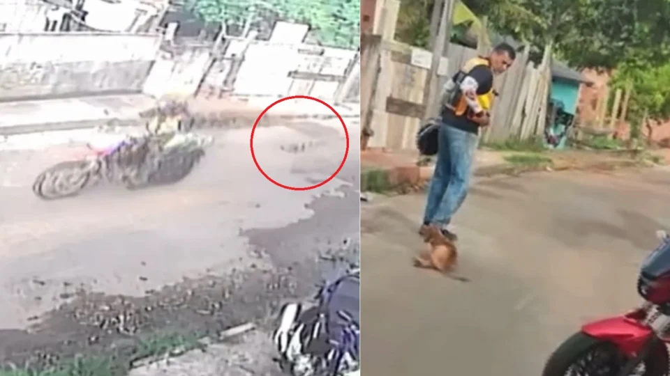 VÍDEOS: Cachorro é amarrado em moto e arrastado por ruas de Manacapuru
