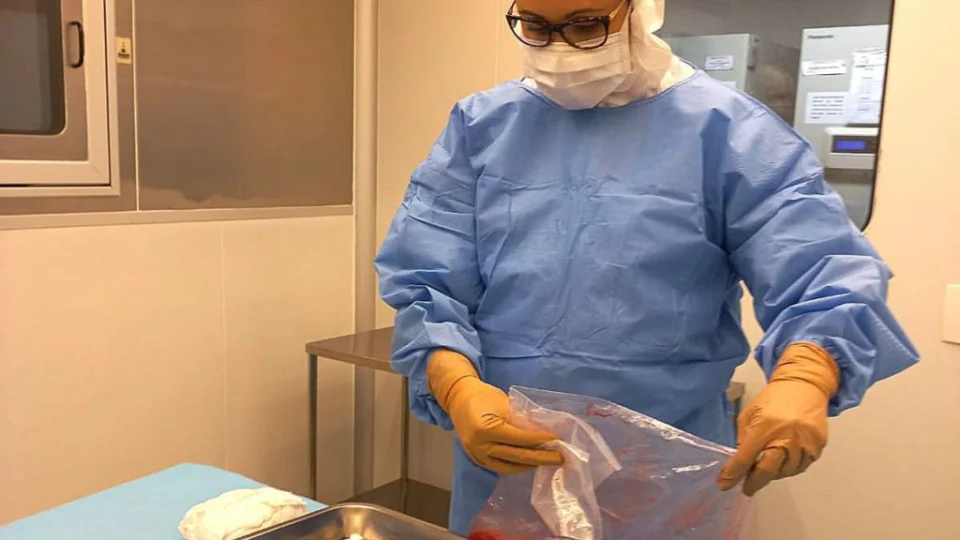 Pesquisa desenvolve curativos biológicos à base de placenta