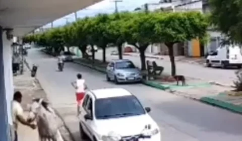 VÍDEO: criança montada em cavalo colide com carro no interior