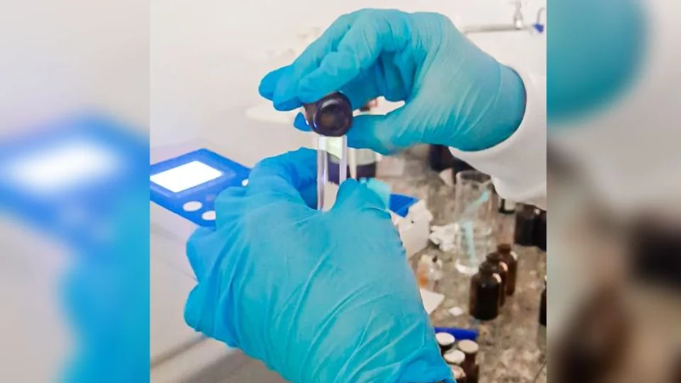 Estudo aponta potencialidade da planta amazônica ‘lacre’ no trato de ferimentos