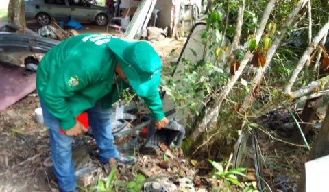 Dengue: Informe epidemiológico divulga cenário da doença no Amazonas nesta quinta-feira