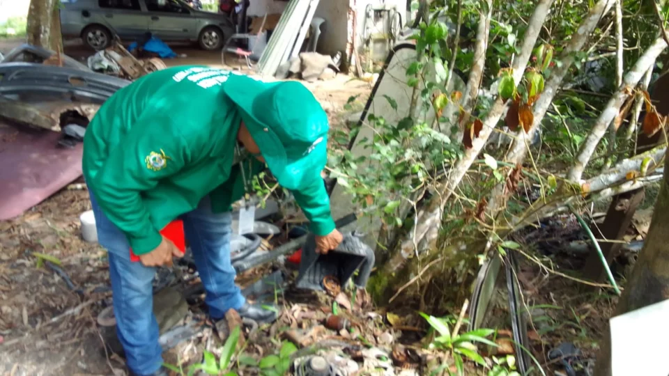 Dengue: Informe epidemiológico divulga cenário da doença no Amazonas nesta quinta-feira