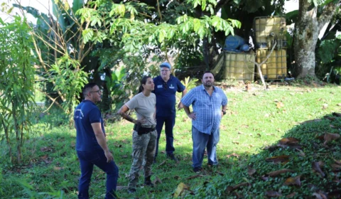 Adaf e Exército intensificam operação contra a monilíase