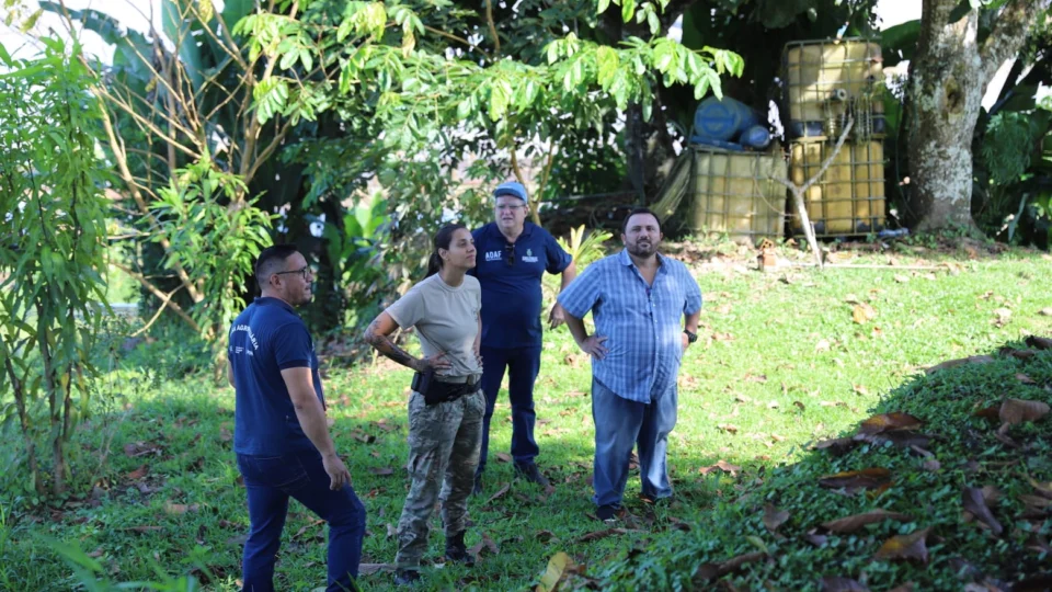 Adaf e Exército intensificam operação contra a monilíase