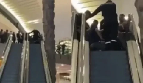 Tutora de cachorro, sem cuidados, deixa o animal se machucar em escada rolante