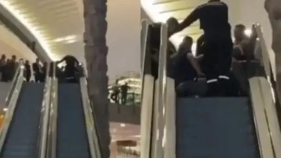 Tutora de cachorro, sem cuidados, deixa o animal se machucar em escada rolante