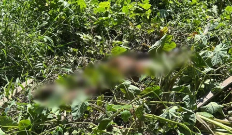 VÍDEO: Corpo é encontrado em área de mata na comunidade da Sharp