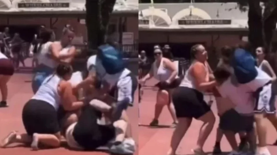 VÍDEOS: Disputa por foto acaba em pancadaria em parque da Disney