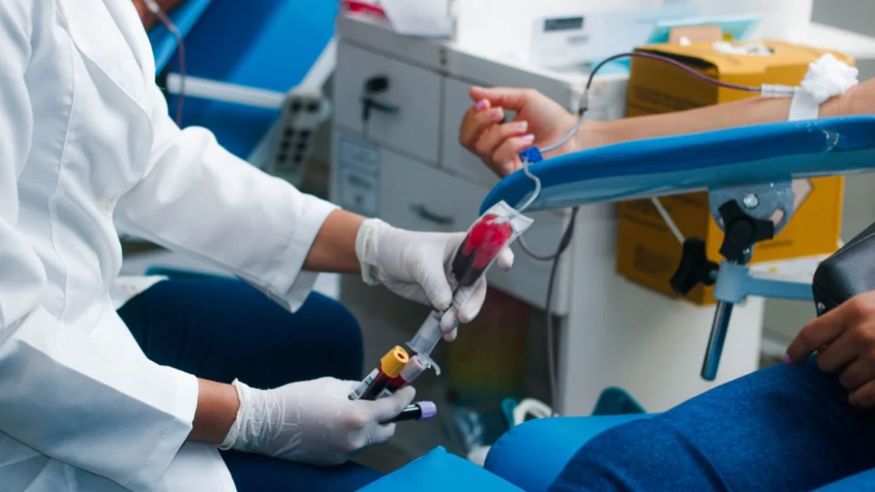 Dia Mundial do Doador de Sangue: importância da doação à pacientes com câncer