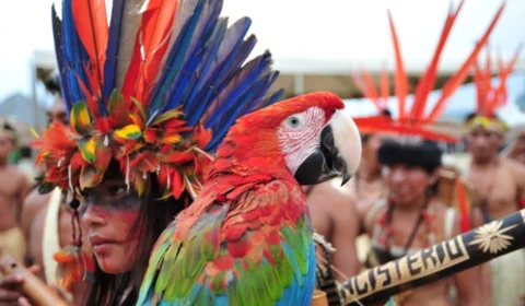 Senador de Roraima anuncia proposta que cria a Universidade Federal Indígena do Brasil