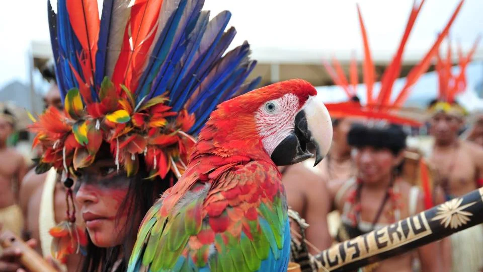 Senador de Roraima anuncia proposta que cria a Universidade Federal Indígena do Brasil
