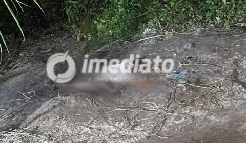 Dois cadáveres são encontrados parcialmente enterrados no Puraquequara