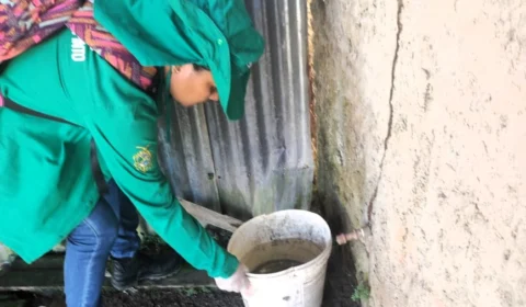 Dengue: Informe epidemiológico divulga cenário da doença no Amazonas nesta quinta-feira