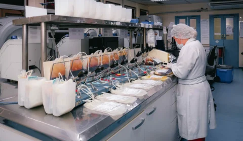 Hemoam implementa ferramenta para prevenir falhas durante as etapas do Ciclo do Sangue