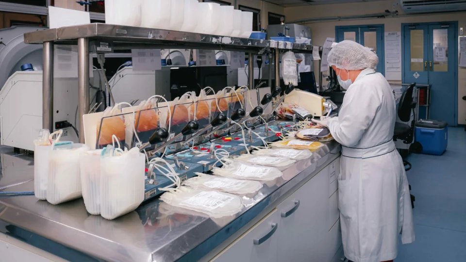 Hemoam implementa ferramenta para prevenir falhas durante as etapas do Ciclo do Sangue