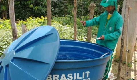 Dengue: Informe epidemiológico divulga cenário da doença no Amazonas nesta quinta-feira