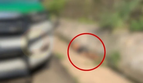 Homem é desovado ao lado de córrego no bairro da Glória; Veja vídeo